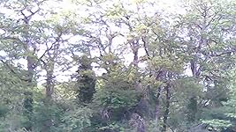 Review Image by CHRISTOPHER L REINER CHRISTOPHER L REINER