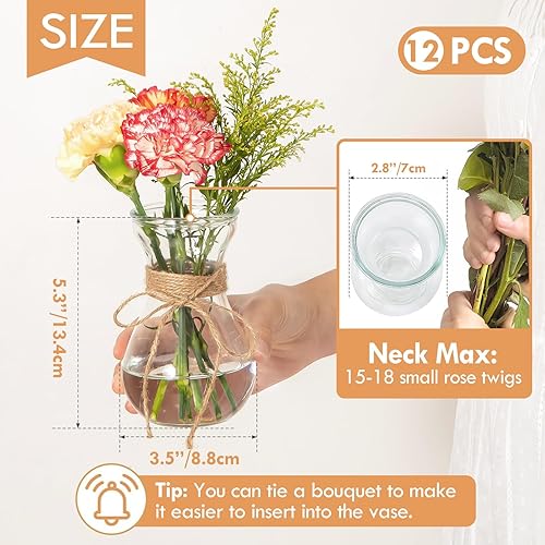 Miniatura 2 de Jarrones de cristal para centros de mesa, juego de 12 jarrones decorativos transparentes para flores de 5.5 pulgadas, recipientes de propagación de
