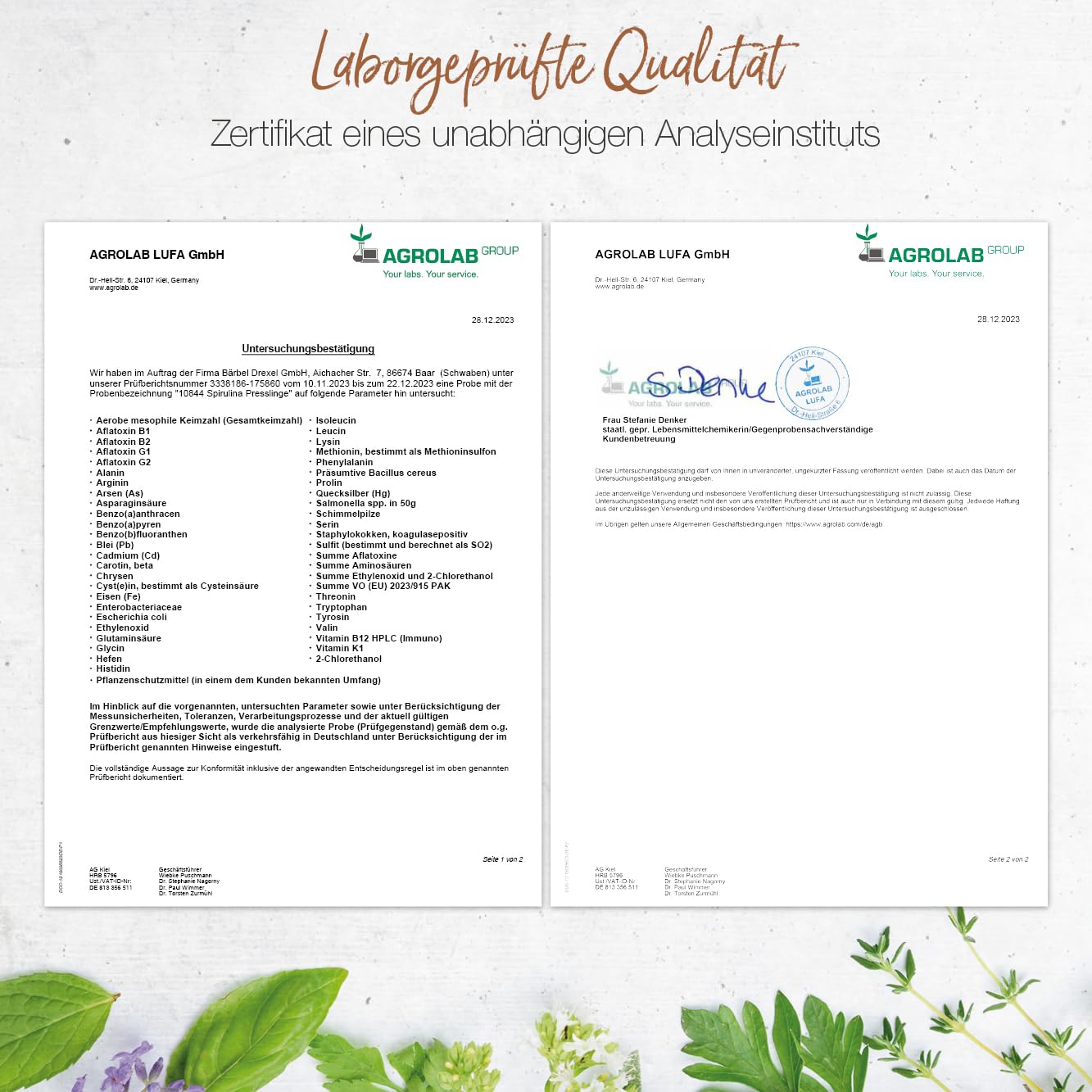 Spirulina Presslinge, 650 Tabletten hochdosiert ohne unnötige Zusätze. Mineralstoffe, Aminosäuren, Proteine, Beta-Carotin, Vitamin B12. Blaualgen aus Californien. Natur-Labor BÄRBEL DREXEL®
