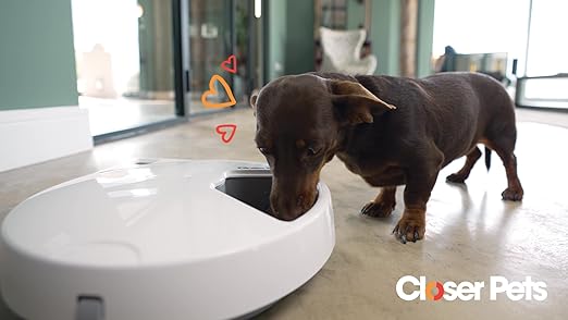 cat mate replacement pump