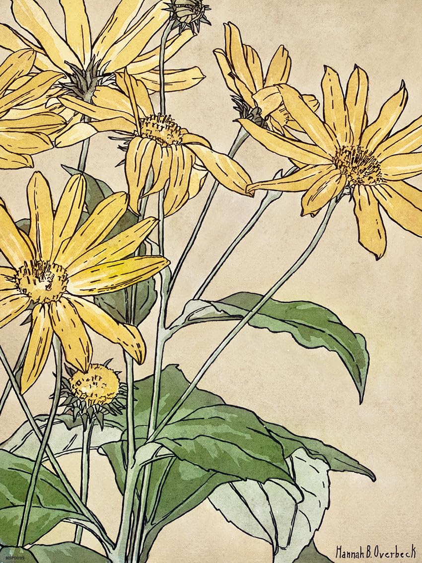 onthewall Sunflowers (1915) by Hannah Borger Overbeck Botanical 50x70cm Art Print