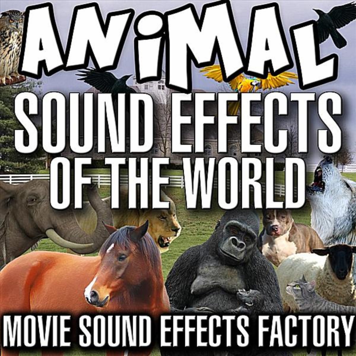 Movie Sound Effects Factory