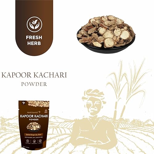 Miniatura 5 de Herb Essential Kapoor Kachari Polvo de 3.52 onzas (3.53 oz)  Raíces de Hedychium Spicatum 100% puro y natural con púas de lirio de jengibre,