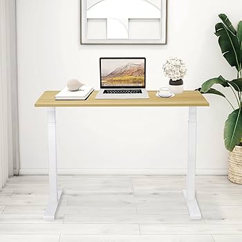Amazon.com: Rise UP Essential Electric Standing Desk Adjustable