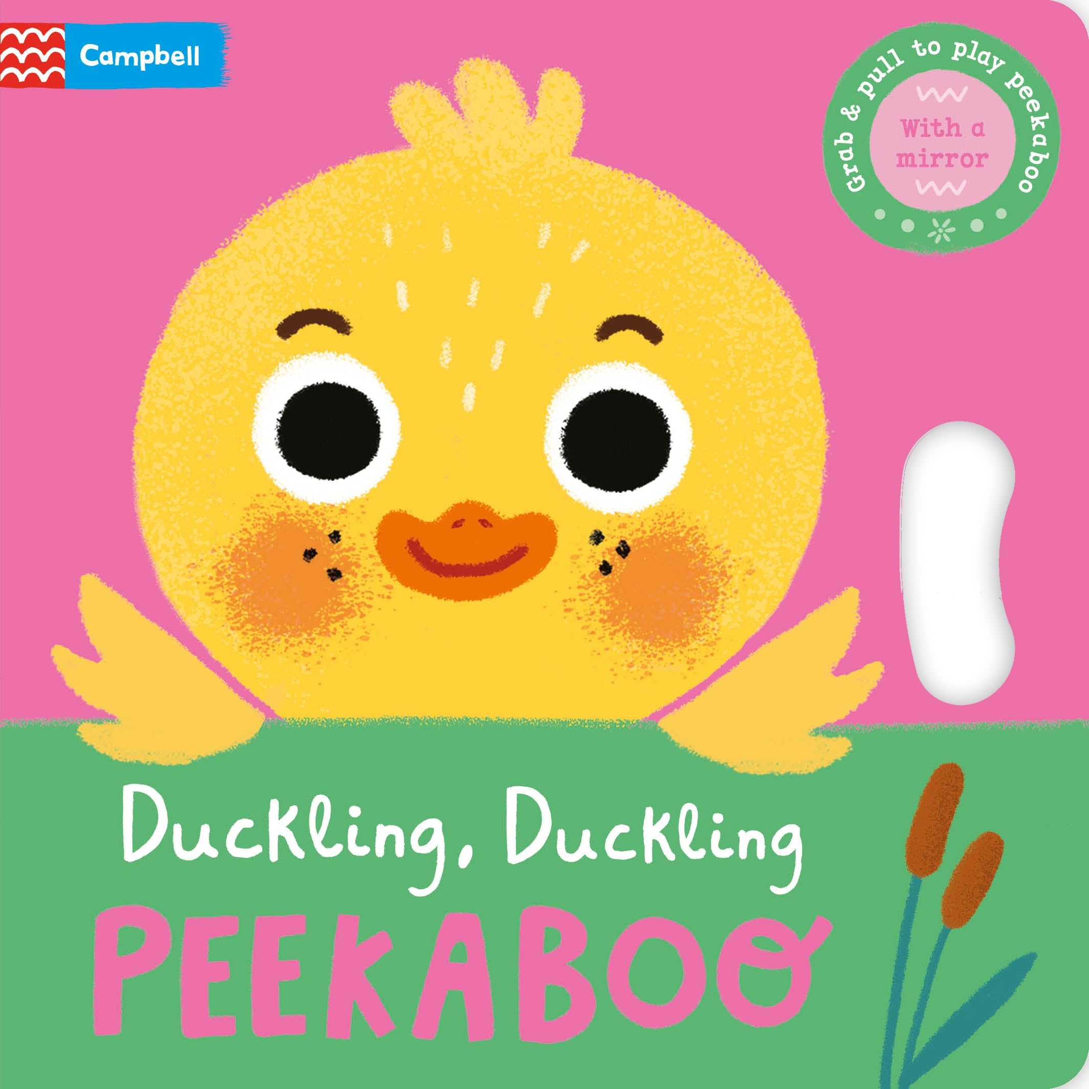 Duckling, Duckling, PEEKABOO by Campbell Books (Board book)