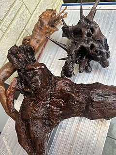 コルクバーク・流木