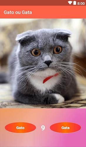 Gato ou Gata