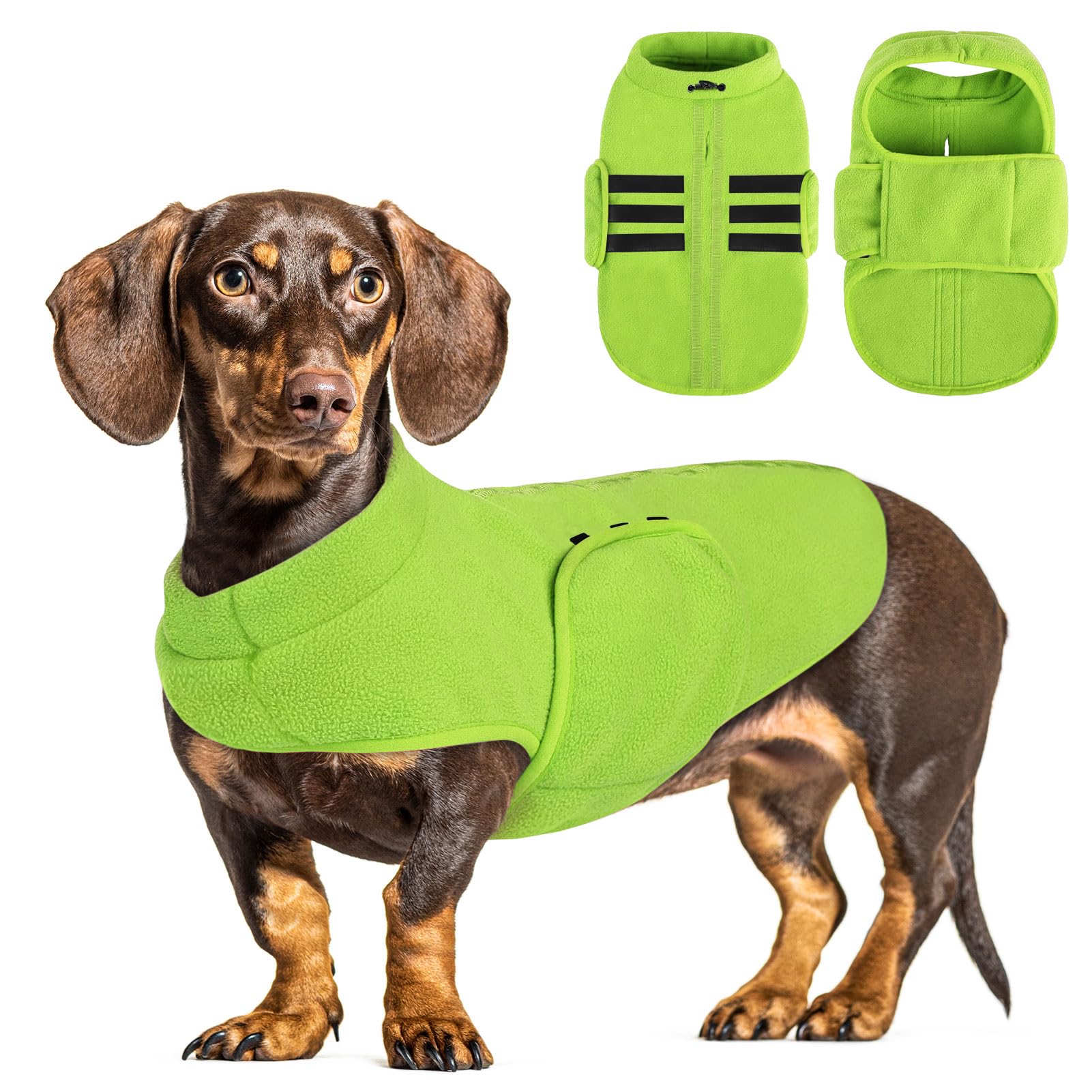 PUZAUKAL Maglione in pile per cani, invernale, caldo, per cani di piccola taglia, in morbido pile, con imbracatura, per cani di taglia media, grande, verde (M)
