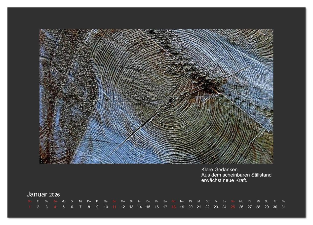 MAGIE HOLZ 2026 (hochwertiger Premium Wandkalender 2026 DIN A2 quer), Kunstdruck in Hochglanz: Holzfotografien mit Haikus (CALVENDO Natur)