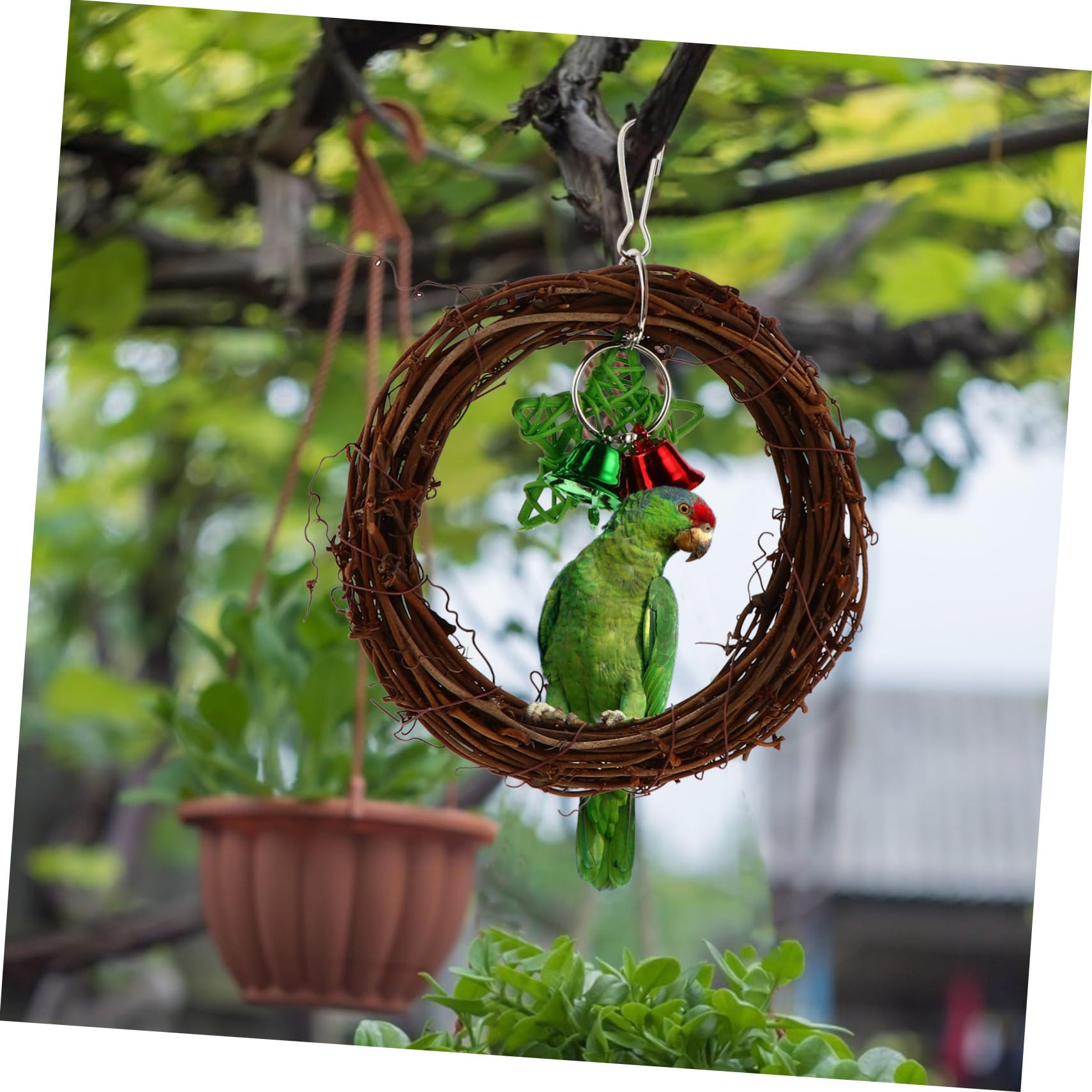 DOITOOL 3pièces Jouet à Mâcher Rotin pour Perroquet Balancoire Rotin Naturel Accessoire De Décoration Murale pour Oiseaux pour Perruches Et Petits Perroquets