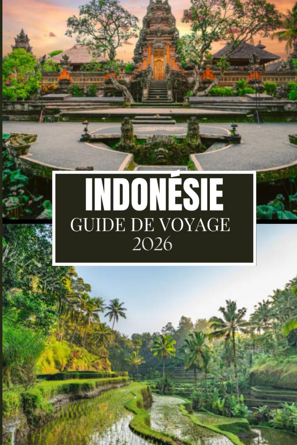 INDONÉSIE GUIDE DE VOYAGE 2026: Ce que personne ne vous a dit avant de visiter – Trésors cachés, secrets locaux et conseils pratiques (image en couleur)