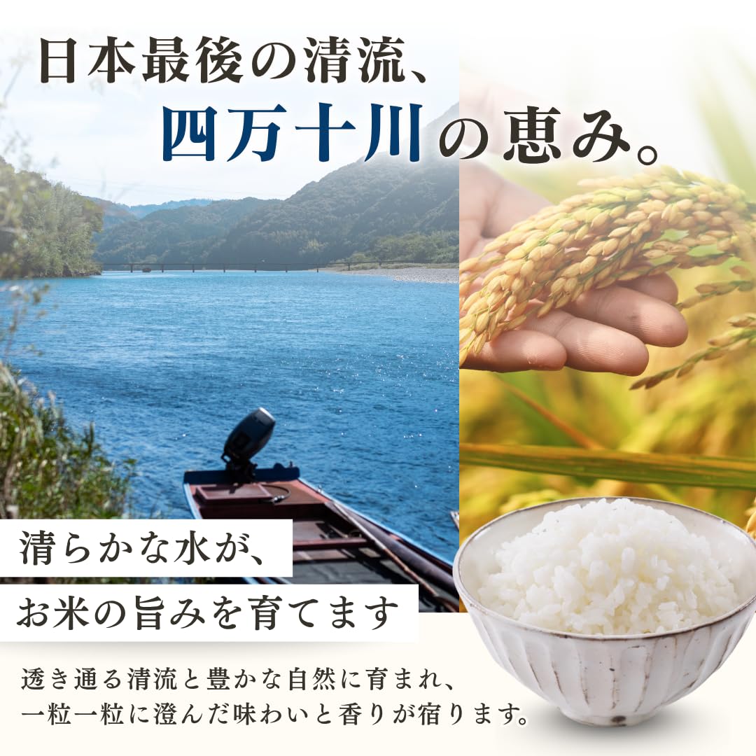 Amazon.co.jp: [精米] 米 令和7年産 新米 5kg お米 高知県産