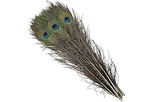 20 Pieces Long Natural Peacock Feathers
