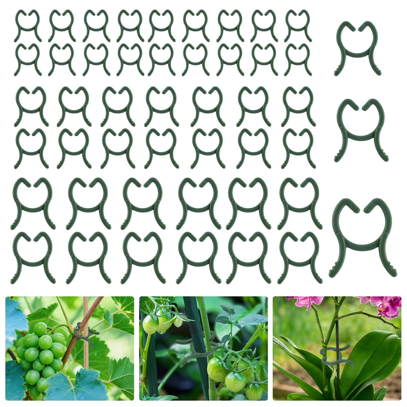 150 Stück Klein Pflanzenclips Grün, Pflanzenclips, Pflanzenklammern Klein, 3 Größen Pflanzen Clips für Kletterpflanzen, Tomatenclips, Wiederverwendbar, für Unterstützen Pflanzen Obstgemüse Blumen