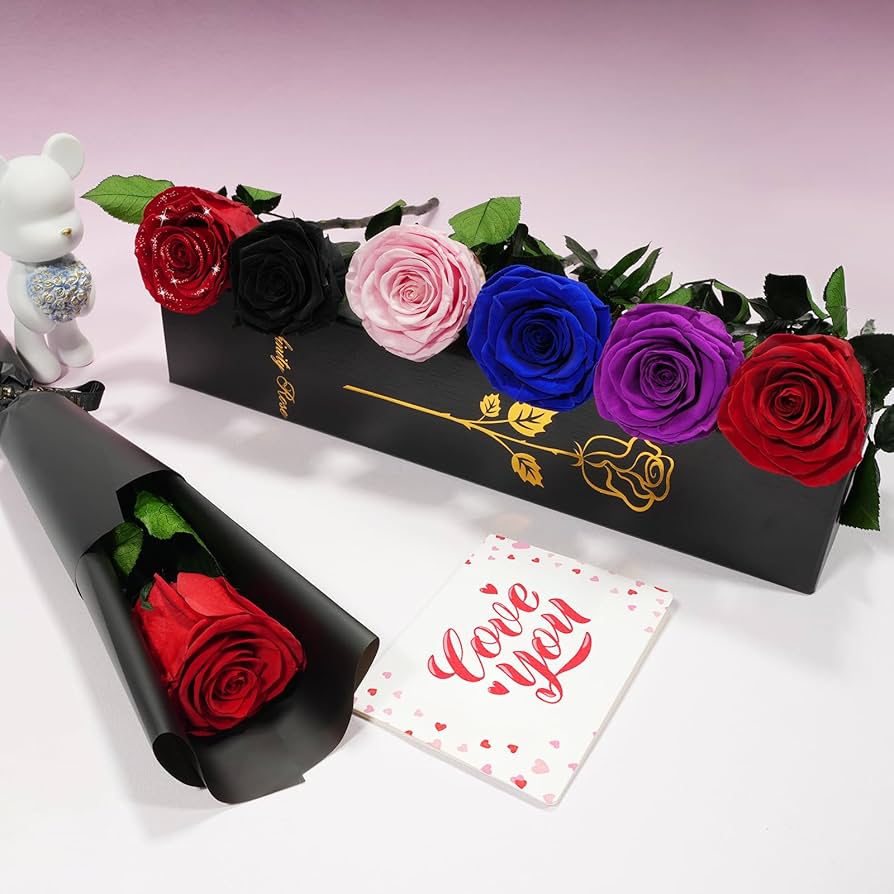 完売‼️ ALL ROSES LIVING PROOF Dash  完売‼️ ALL ROSES LIVING PROOF Dash Snow Alligator Records