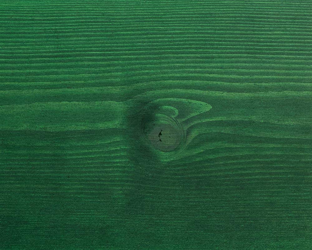 Luminos LUM1106 - Kale Green - wodny ochraniacz na plamy do drewna BIO - zielony 1L