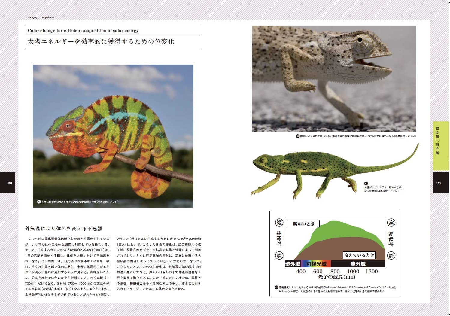 動物の体色がわかる図鑑 秋山 豊子 本 通販 Amazon