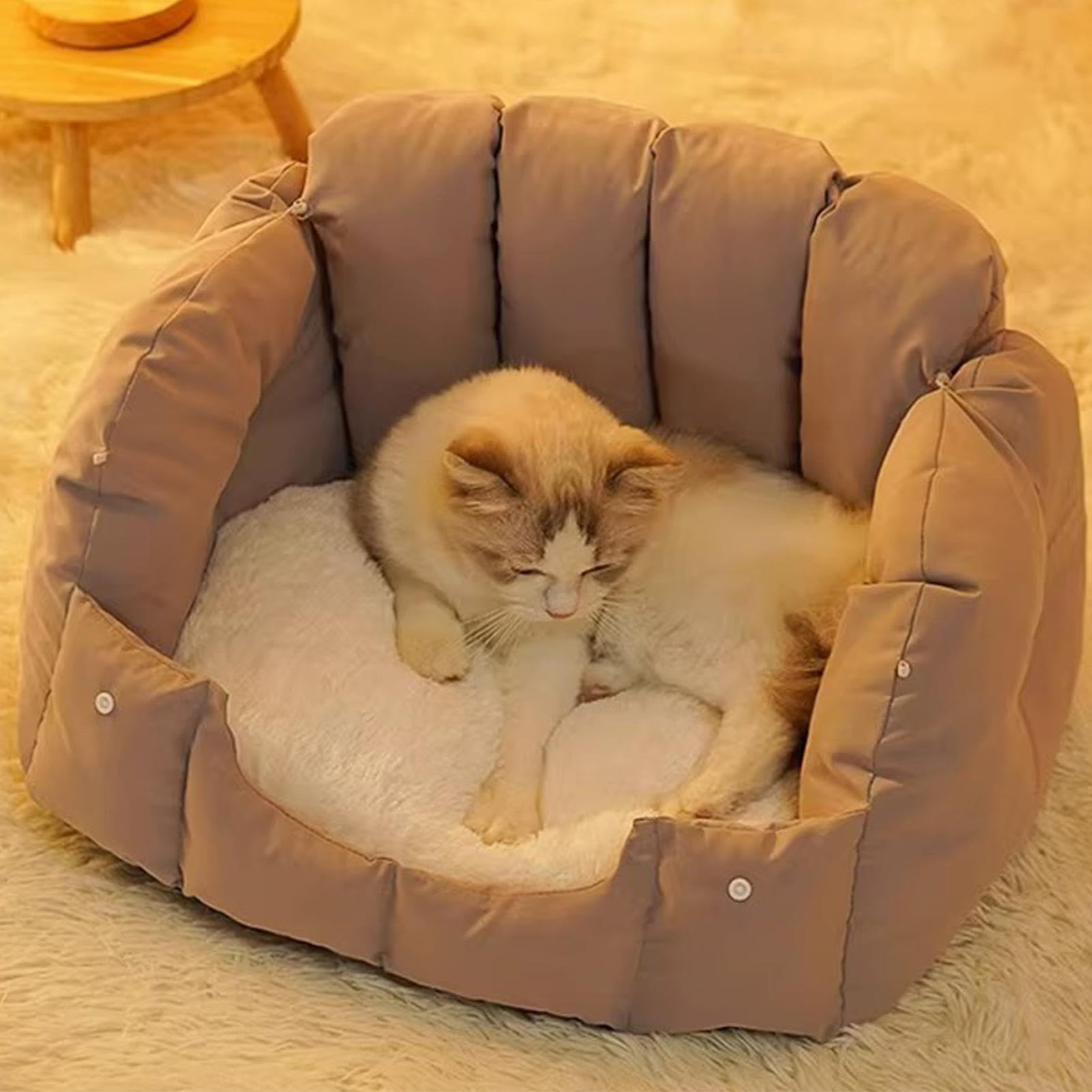 Letti per gatti Grotte, Divano per gatti Letti per gatti chiusi pieghevoli | Forniture per animali domestici antiscivolo rimovibili Lavabile Comodo di