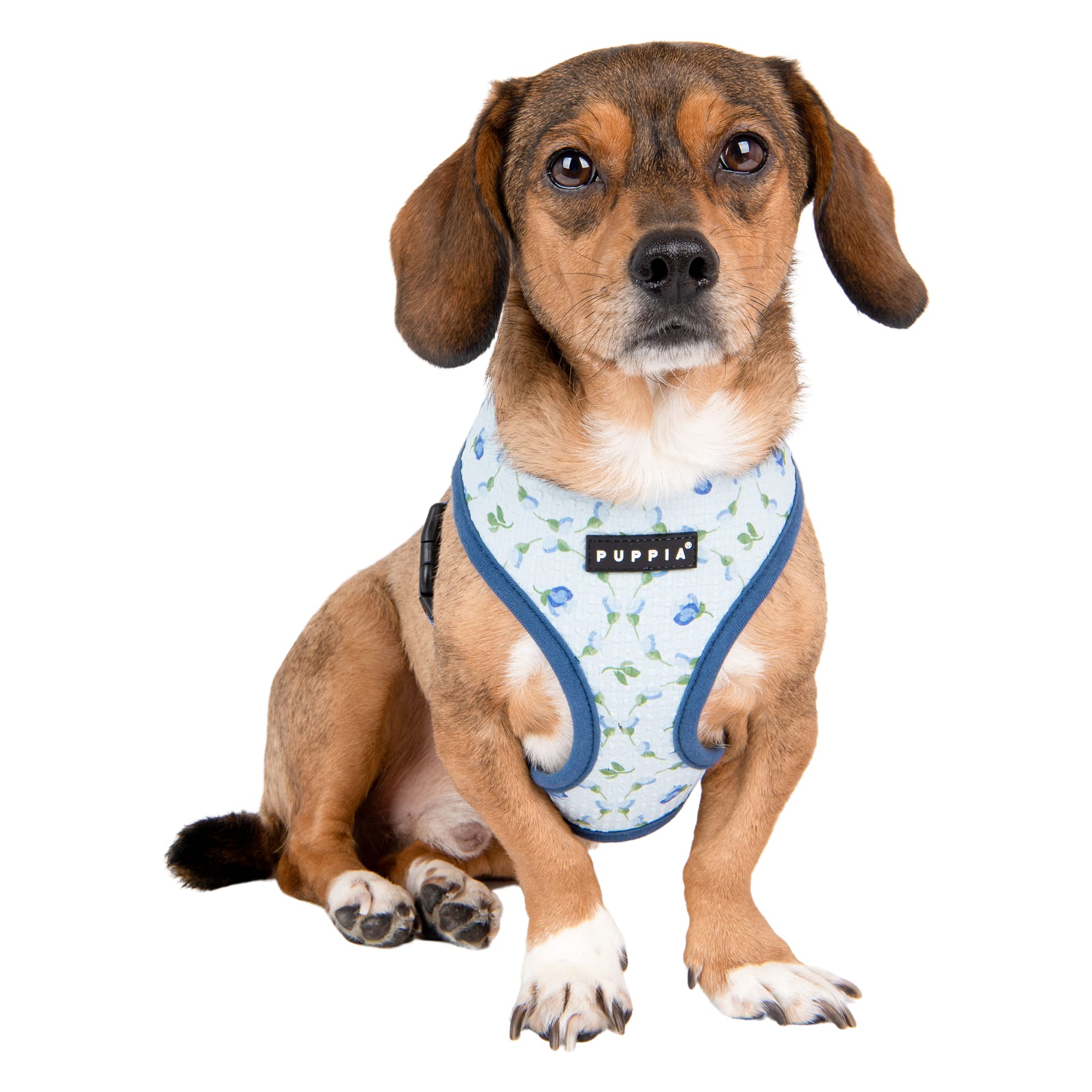 Puppia Florian Overhead Dog Harness, No Choke, No Pull, Adjustable Chest Strap, Walking Training for Small and Medium Dogs Blue, S - Image 3