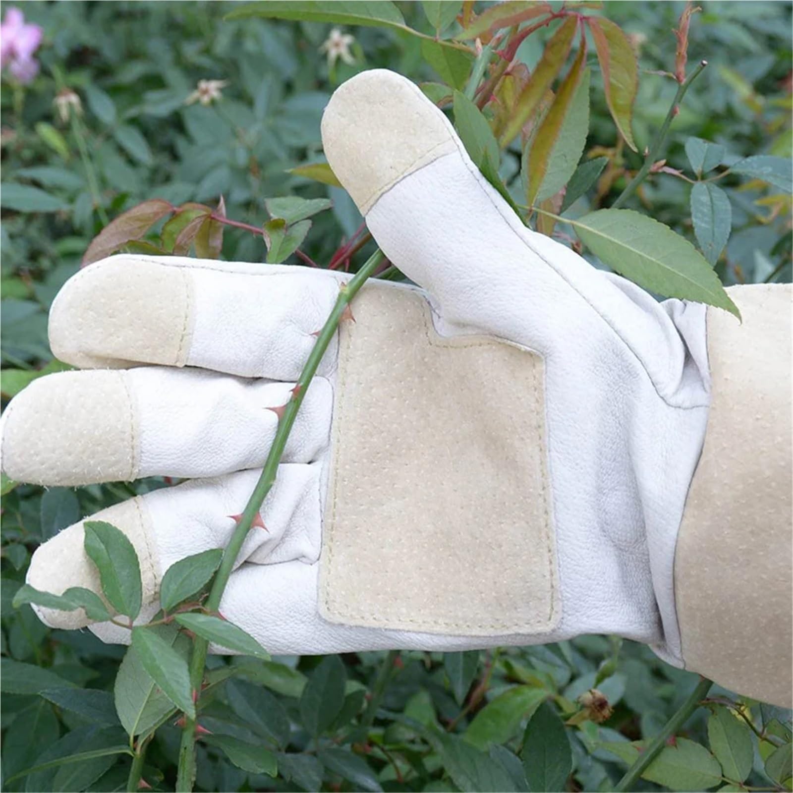 Guanti Da Giardinaggio Guanti da potatura for rose for uomo e donna, maniche lunghe, guanti da giardinaggio a prova di spina, impermeabili e resistenti all'usura Per Attrezzi Da Giardino, Meccanici(M)