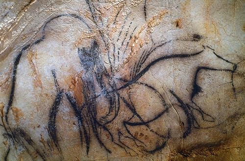 Arte rupestre Mammoth Na Mammoth (izquierda) y un Auroch pintado en negro contorno Detalle del friso negro en el Pech Merle Cave Lot Francia C15000