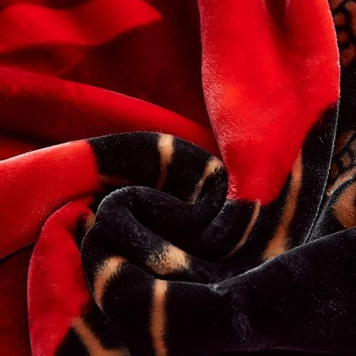 Miniatura 6 de JML Manta de visón coreano tamaño King (85 x 95 pulgadas, 10 libras)  2 capas reversible impresa suave gruesa felpa pesada manta de vellón pesado