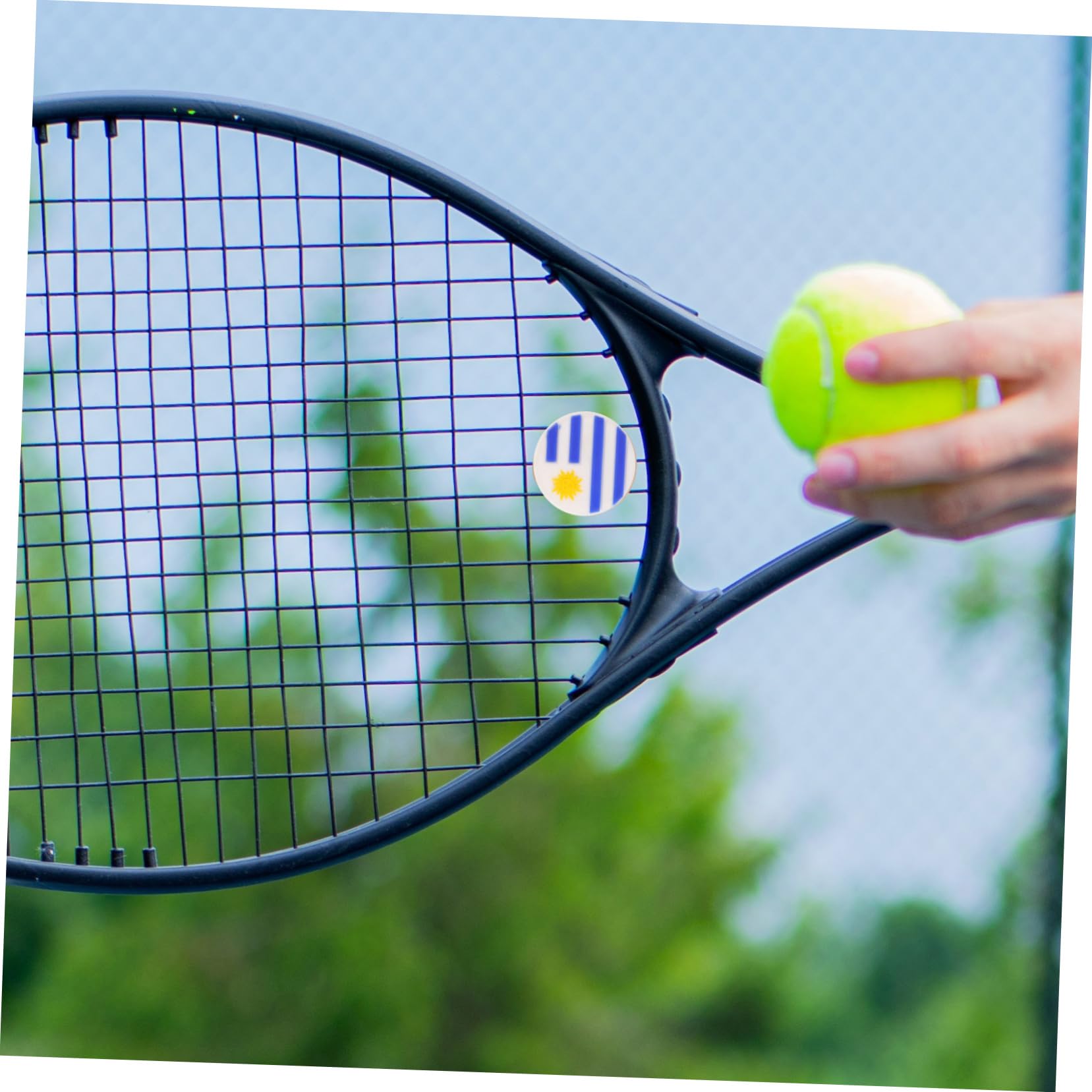 TOYANDONA Ammortizzatore per Racchetta da Tennis Ammortizzatore da Tennis Assorbitori Racconcette da Tennis Ammortizzatore della Racchetta Gel di Silice