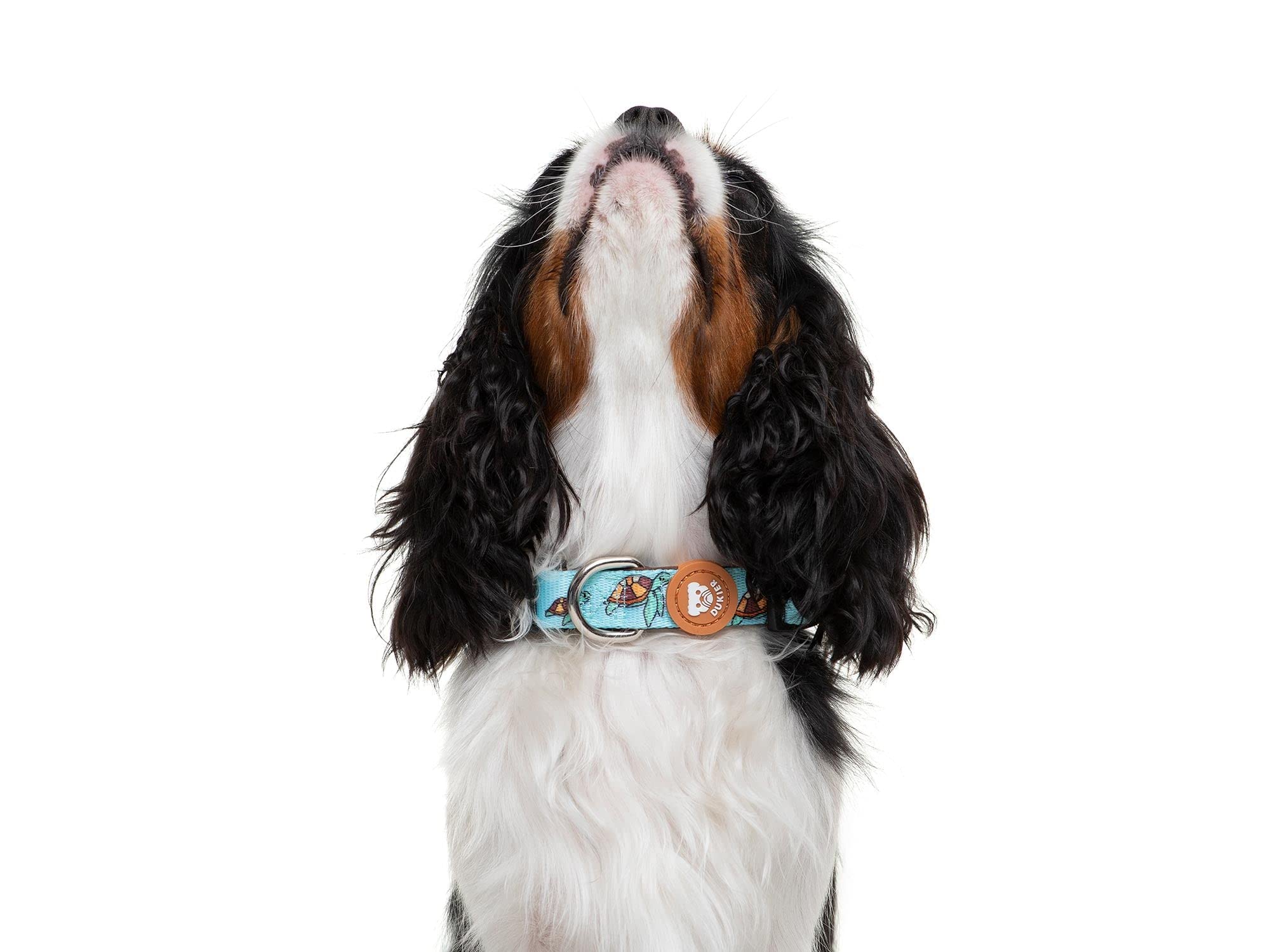 DUKIER - Dog Collar, Adjustable and Adjustable, Neoprene Pet Accessory, Turtle Design Size L - Image 3
