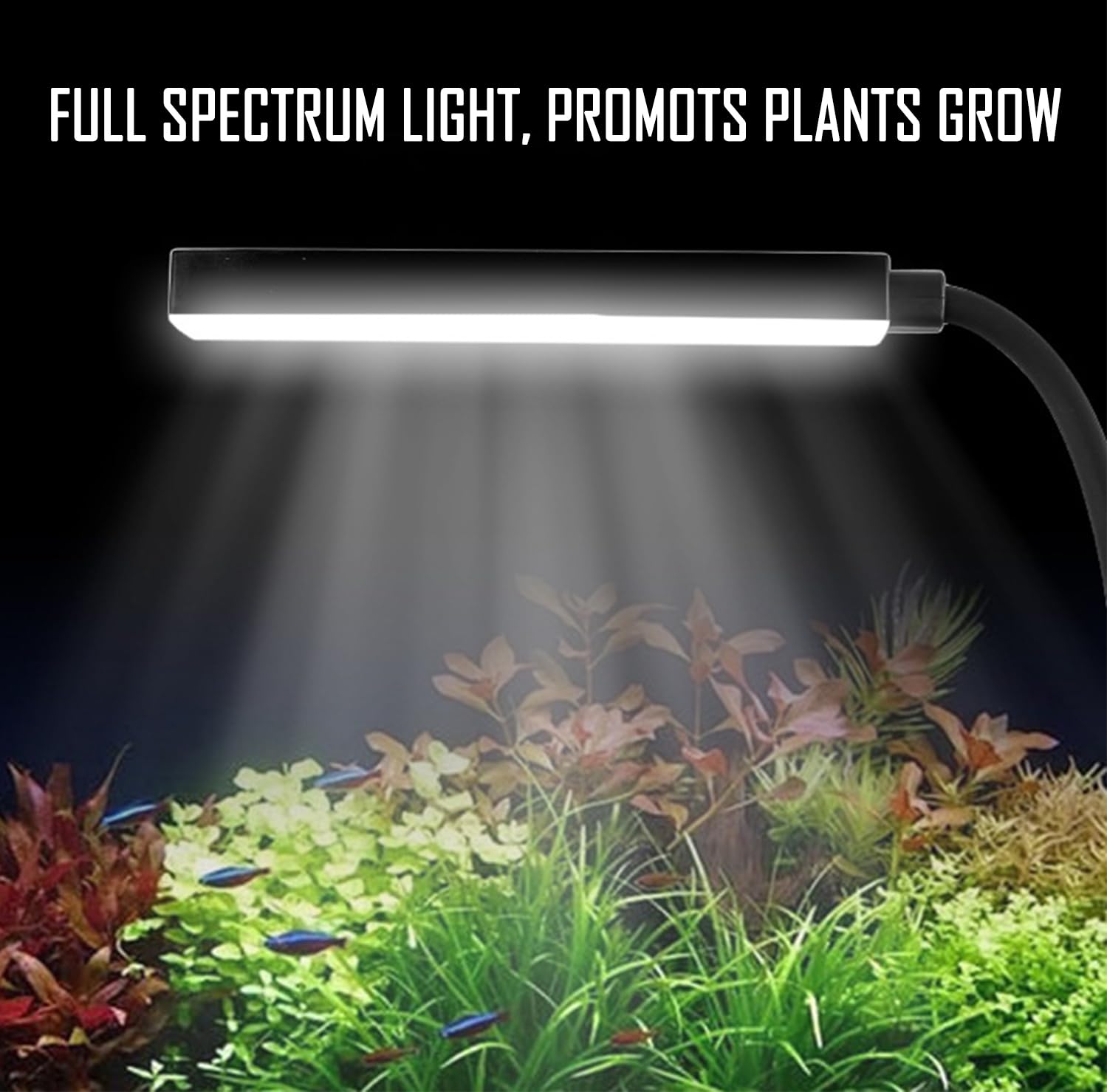 Aquarium-Set 11L mit LED-Beleuchtung, Filter 30x18x20cm