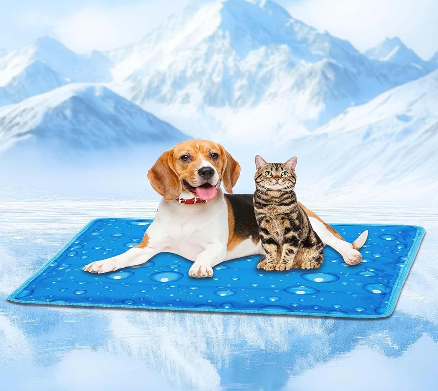 D&C PAWS Pet Cooling Mat for Dogs, Non-Toxic Gel Cool Mat for Dogs Perfect for Hot Summer Days, Large Self Cooling Gel Mat Medium Size (Size-90cm X 73cm)
