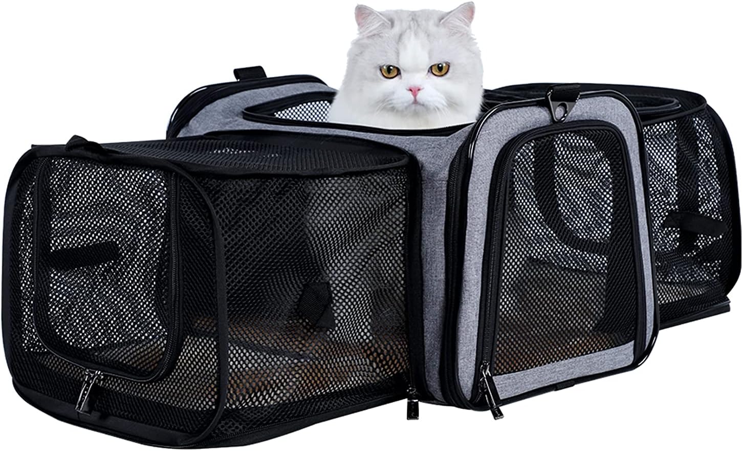petsfit carrier