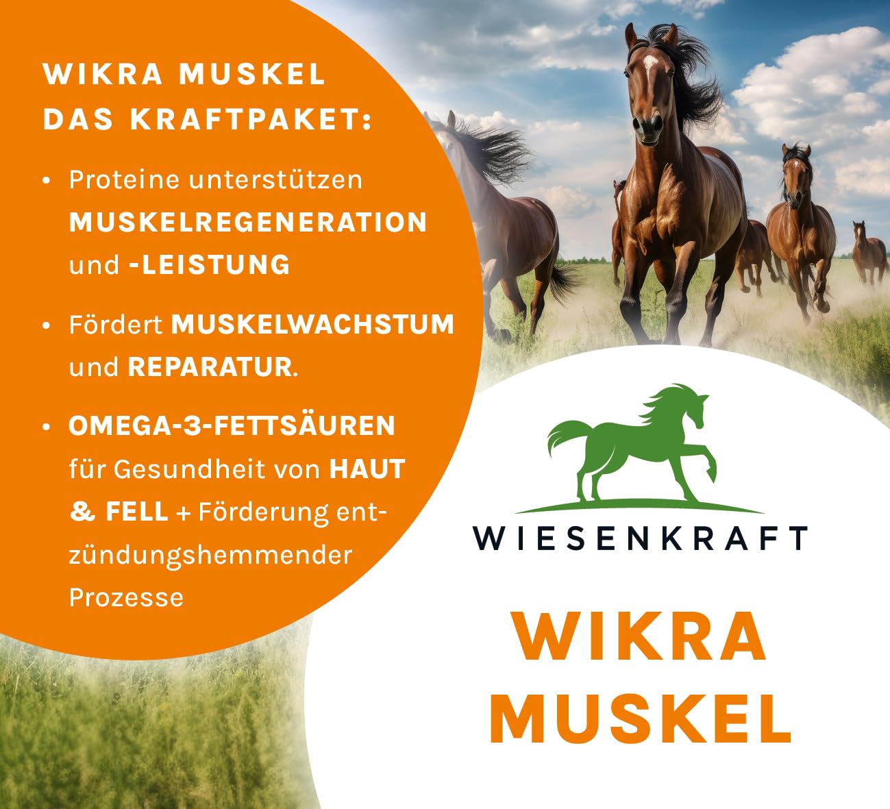 Wikra Muskel – 5kg – Zusatzfutter für Pferde, 100% natürlich, mit Tierärzten entwickelt, fördert Muskelaufbau & Muskelerhalt, reich an Proteinen & natürlichem Vitamin E, getreidefrei