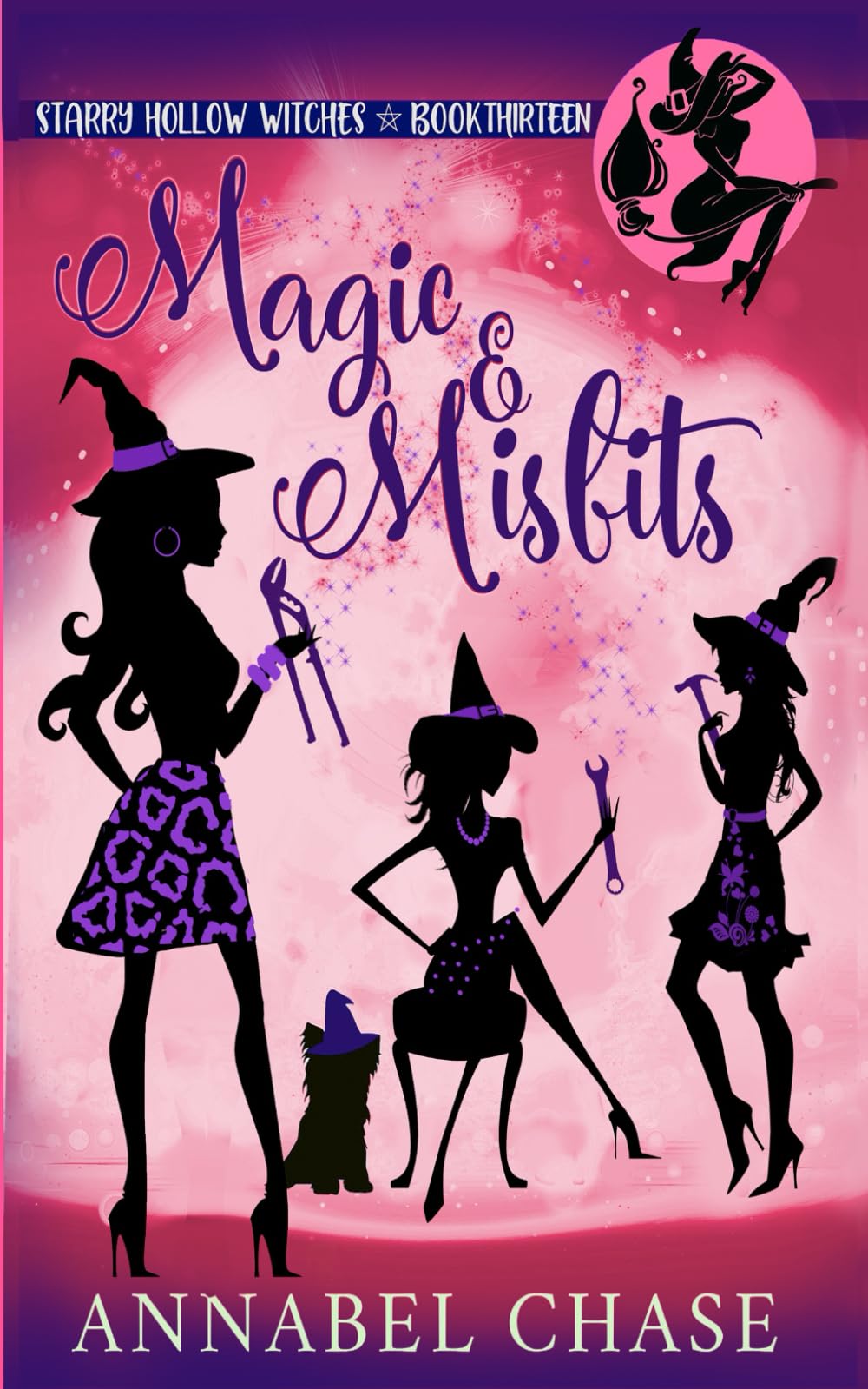 Cover of Magic & Misfits