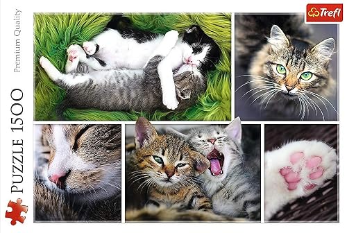 Miniatura 5 de Trefl Rompecabezas de 1500 piezas, collage Just Cat Things, mascotas, gatos y gatitos, collage de animales, rompecabezas para adultos, 26145