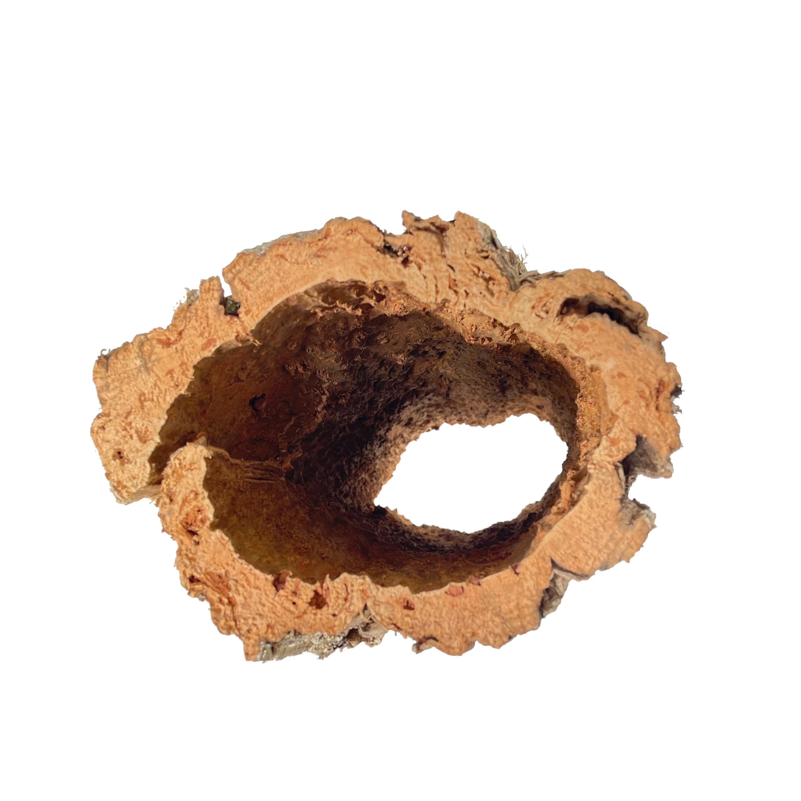 Korkrinde für Terrarien oder als Deko Mind. 40 - max. 70 cm lang; Außendurchmesser: ca. 20-30 cm