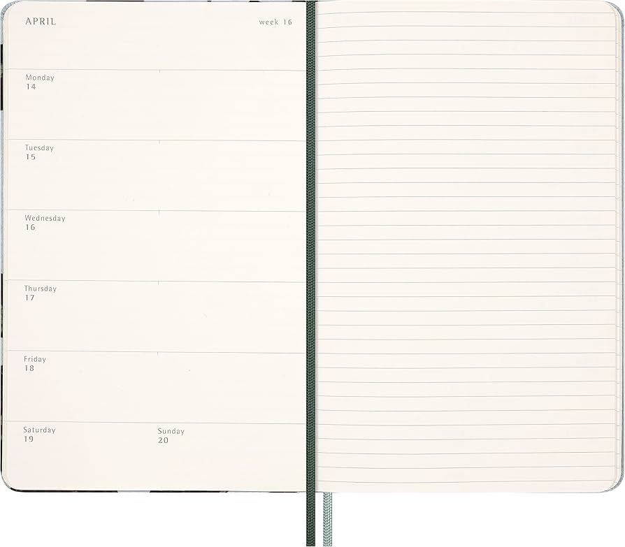 Amazon.com : Moleskine Limited Edition Year of the Snake 12