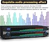 Professional Stereo Graphic Equalizer with 31-Band Digital EQ, LED Spectrum Display, 10 Presets, Noise Reduction, Low/Mid/Treble Adjustment - Perfect for Music Lovers!