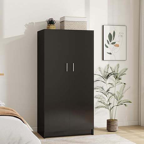 2 Door Wardrobe Closet for Bedroom- Black