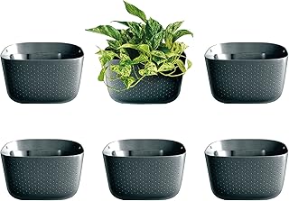 WallyGrow Eco Wall Planter, Create a Plant Wall with Hanging Planters for Indoor or Outdoor Use (Charcoal, 6)