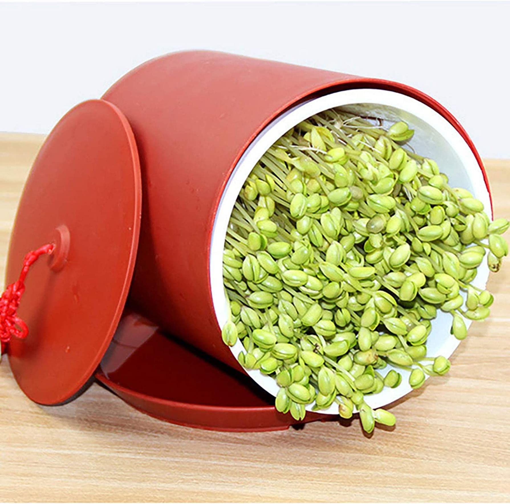 Germinateur De Graines De Légumineuses Amp; Graines Santé Germination Organique Germination Machines Qualité Alimentaire PP Matériel Germinateur De Graines Germinateur