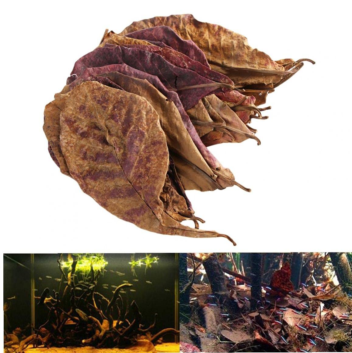 【puipuiさん専用】マジックリーフ 1kg Amazon.co.jp: マジックリーフ 水質を向上する 水槽用 熱帯魚