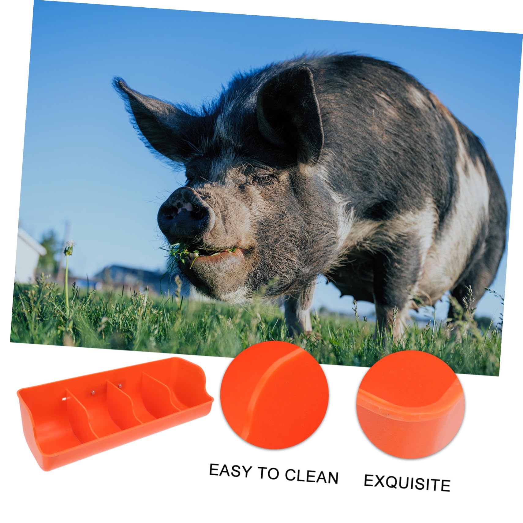 DOITOOL Abbeveratoio per Maiali in Plastica Pp 4 Scomparti, Resistente All'usura e Adatto a Suinetti, per Allevamenti Suine e Mangiatoia Funzionale Stile Casuale