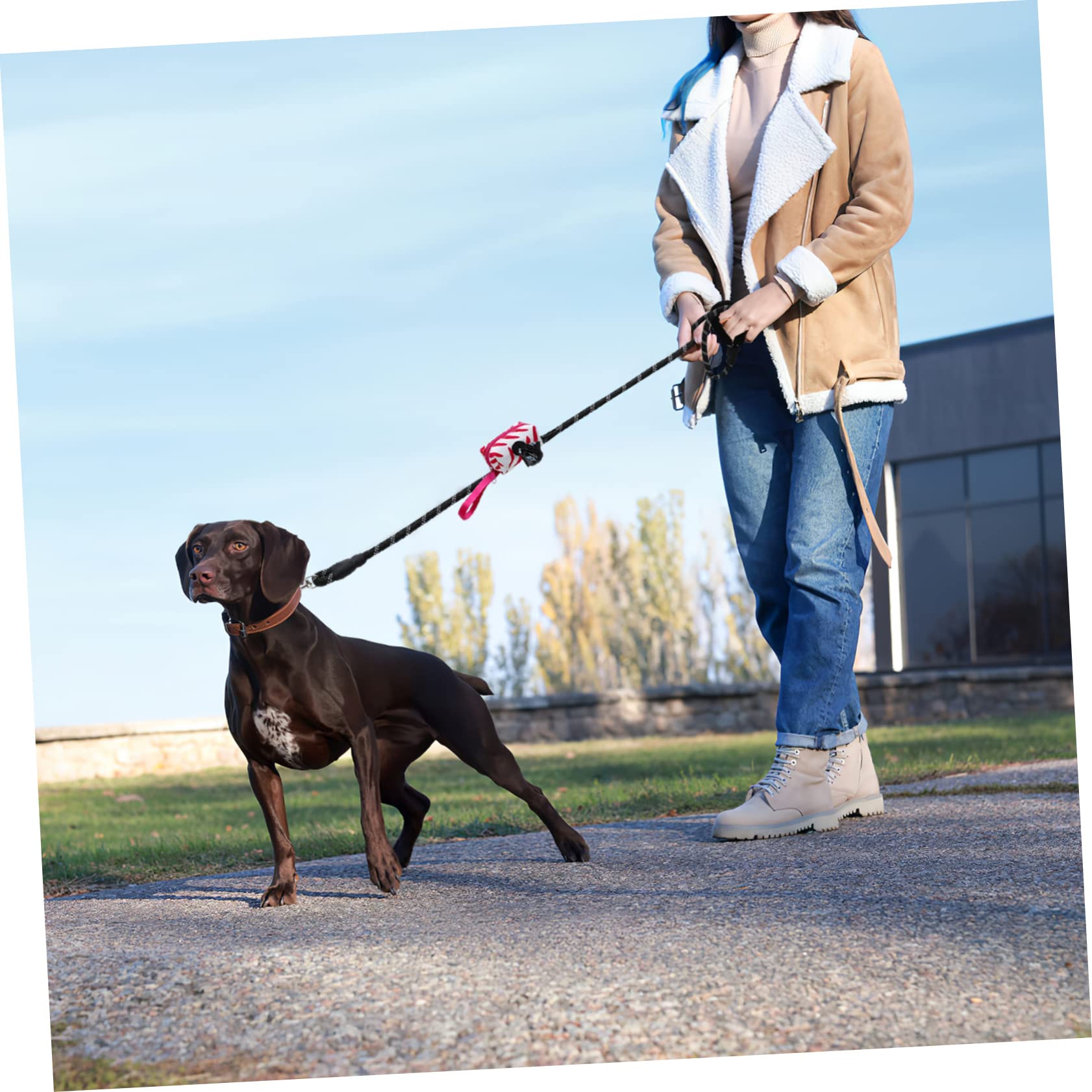 COLLBATH Hundeleine Für Nylon-Leine Mit Beutelspender Für Hundekotbeutel Für Kleine Und Mittelgroße Hunde Draußen