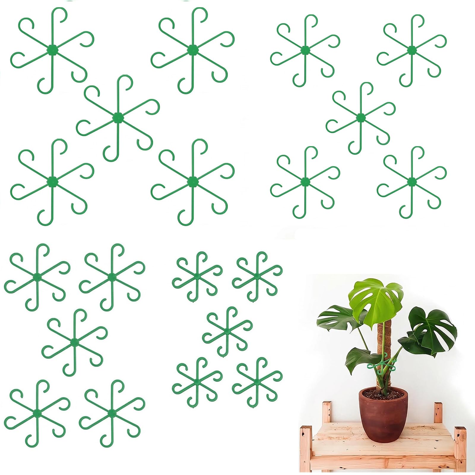 Monstera Plant Support, 20 Pcs 4 Sizes Green Plastic Stem Support Rings for Climbing Houseplants, Adjustable Aerial Root Holder for Monstera Deliciosa, Pothos, Philodendron, Indoor Plant Accessories