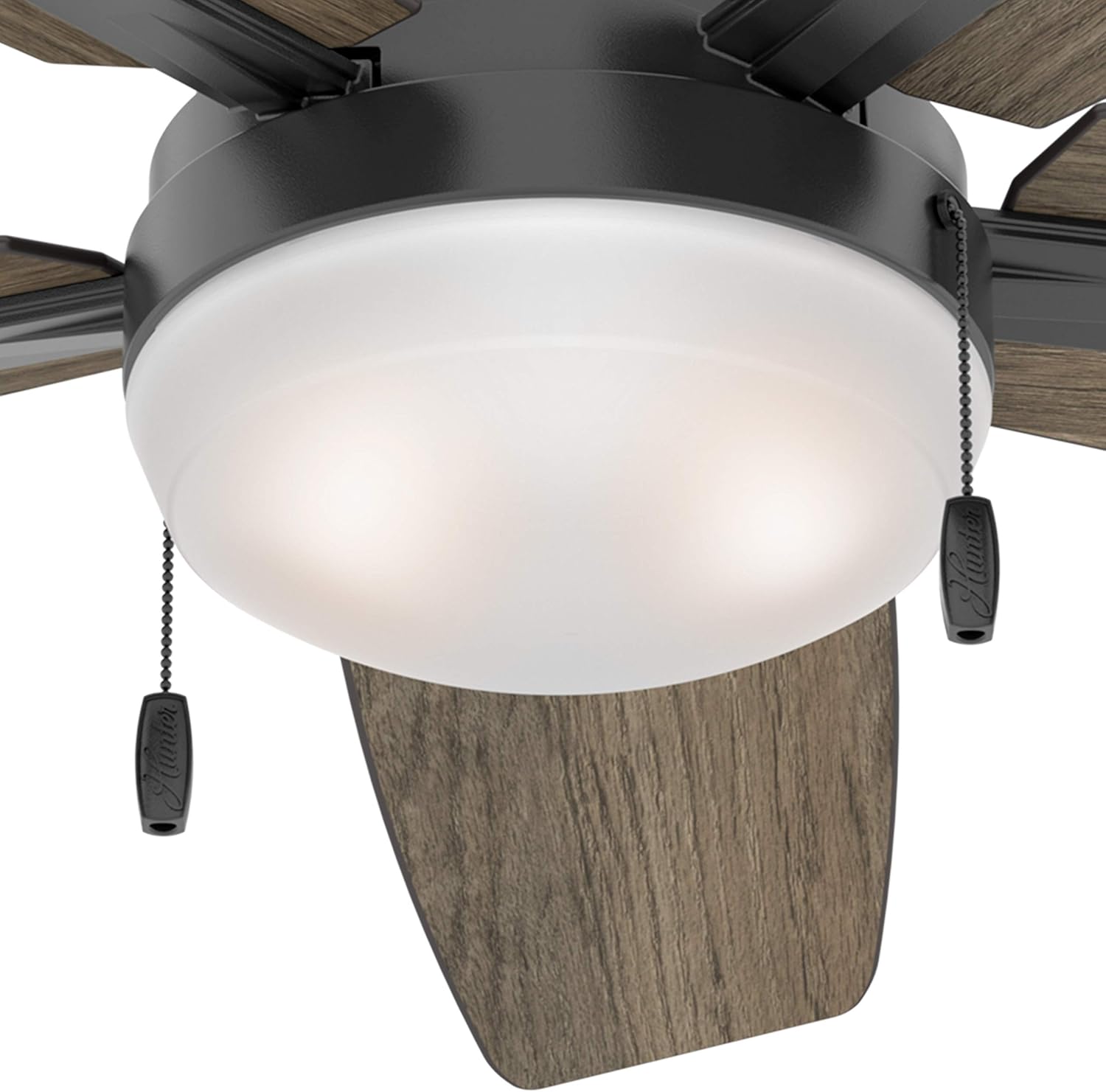 Close-up of fan light kit showing pull chains