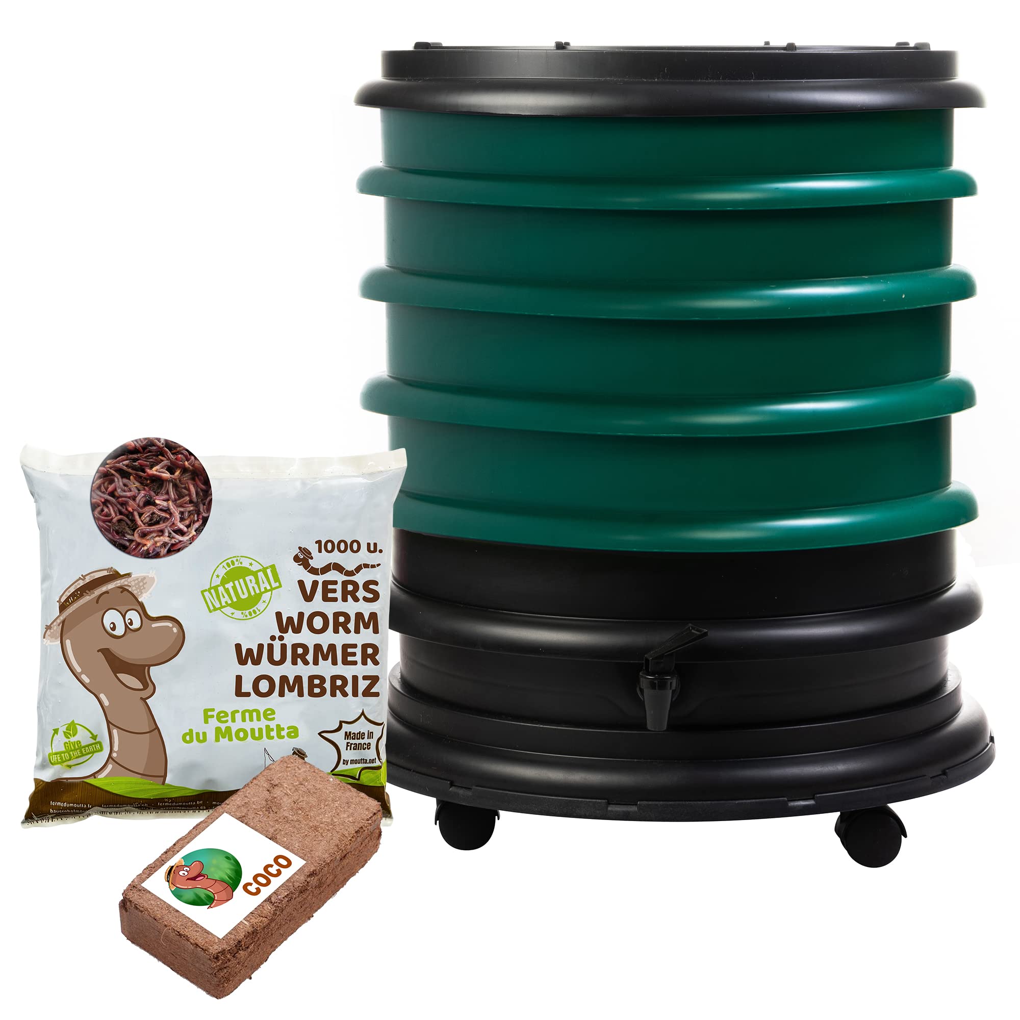 wormbox