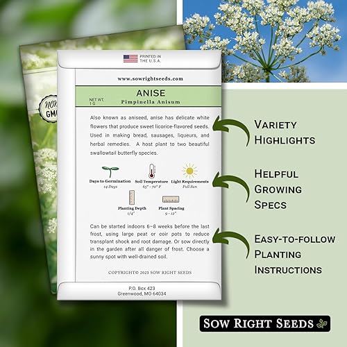 Miniatura 2 de Sow Right Seeds - Semilla de anís para plantar - Hierba culinaria aromática para plantar tu jardín de hierbas caseras - Interior o exterior - Planta