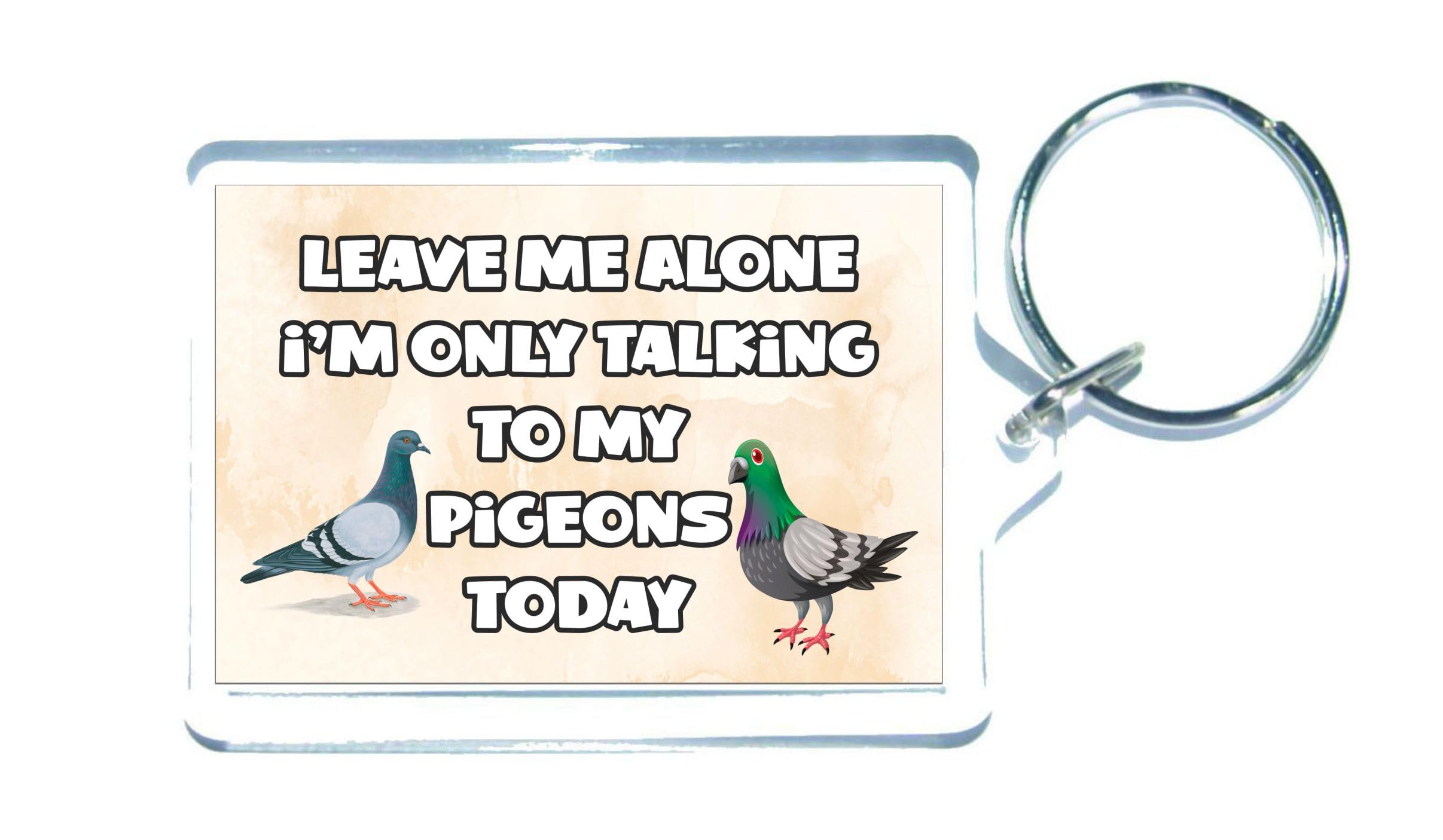 Decalarama Clear Pigeon Keyring Gift – Leave Me Alone I'm Only Talking To My * Today - Fun Cute Novelty Present