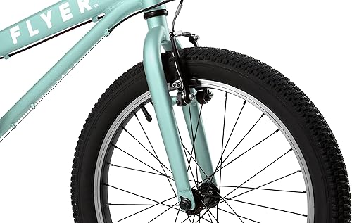 Miniatura 9 de Flyer - Bicicleta para niños de 20 pulgadas, bicicleta para niños y niños, ruedas de 20 pulgadas, niños y niñas de 6 a 8 años, múltiples opciones de