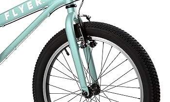 Amazon.com: Flyer™ 20” Kids' Bike, Teal Toddler and Kids